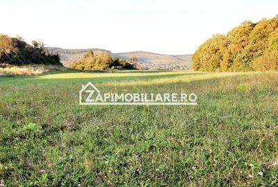 De vanzare 2 terenuri de 29.500 mp si 1.400 mp.29 euro mp - 4