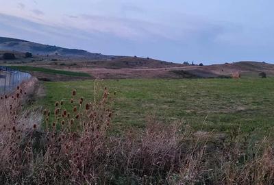 Teren intravilan,3000 mp,front 30ml,Salistea Noua - 1