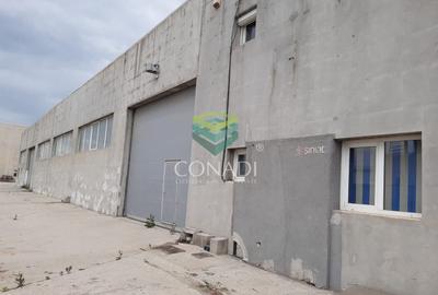 Zona DNCB Clinceni De inchiriat Hala C1 - 13