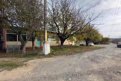 Hala, Iasi, CUG, 211mp, zona vamii - 12