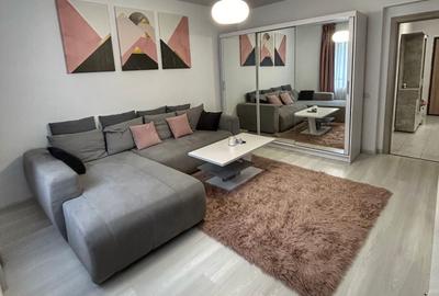 Apartament 2 camere Drumul Taberei - Brancusi - Valea Larga - Bld. Timisoara - 4