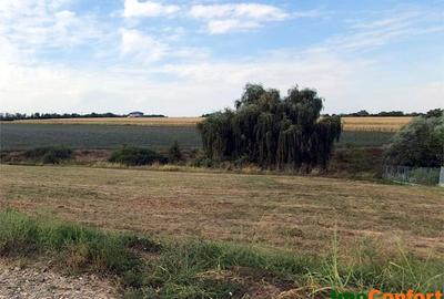 20E pe mp! 1400mp in Proselnici, execelent amplasat, cu utilitati - 1