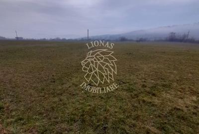 Teren agricol extravilan de 1698 mp, în Dumitrița