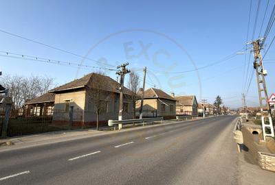 Casa 4 camere, Teren 2.948 mp Tiream SM - Comision 0% cumparator - 11