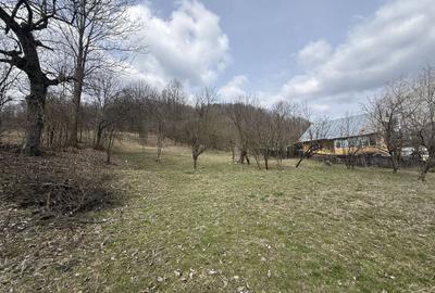 Teren 6040 mp la baza pădurii deschidere 40 ml - 4