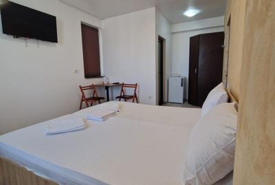 VILA TIP PENSIUNE DE INCHIRIAT | COICIU | UTILITATI INCLUSE | MOBILATA - 4