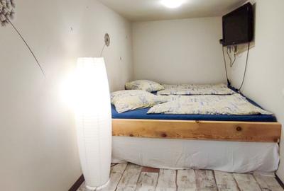 Casa de vacanta, Delta Dunării, brațul Chilia, front la Dunăre, utilități - 12
