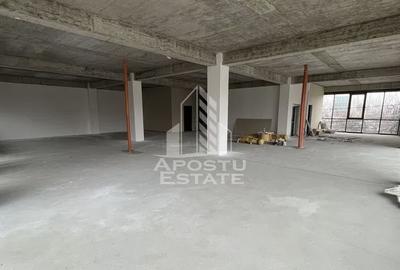 Spatiu comercial 1000 mp utili+ 15 locuri parcare,  zona Torontalului - 1