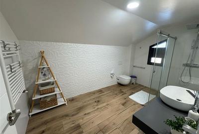 Casa P+M partial mobilata de vanzare in Campineanca (toate utilitatile) - 31