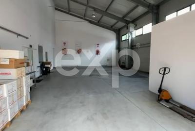 Hub Logistic Premium Otopeni – Centură: Hală 1.500 mp + Birouri 700 mp - 6