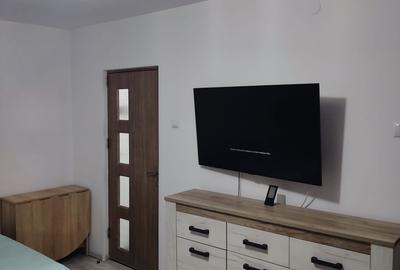 Garsoniera  LAPUS-ARGES/etaj 3/renovata /mobilata - 1