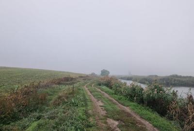 Creata  -  Dascalu teren de vânzare - 7567 mp cu dublu acces lângă lac - 10