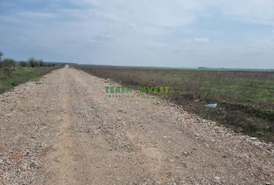 TEREN INDUSTRIAL 42.000 MP - FUNDENI - A2 PUZ APROBAT - 5