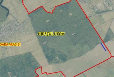 Vanzare teren Moara Vlasiei - Padurea Branzeasca, DJ200 - 4