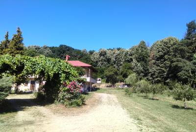 Domeniu+11500 mp teren ideal retreat Wellness pensiune, la marginea padurii - 3