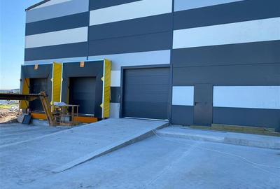 Inchiriere depozit frigorific congelare/hala/spatiu industrial Otopeni - Centura - 5