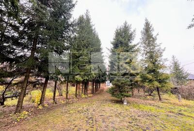CABANA MODERNA 300 mp 🌲 - 4