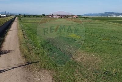 Teren 39,500mp Vintu de Jos - 6