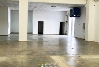 HALA INDUSTRIALA DE INCHIRIAT  338 MP, ARAD - 1