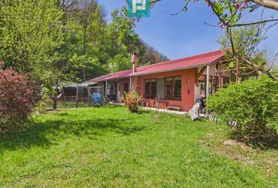 Casă Câmpani, 8000 mp teren, la poalele Apusenilor - 6