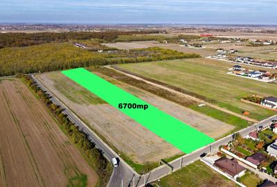 Dragomiresti Deal teren 6700 mp, padurea Ileana, utilitati, asfalt - 1