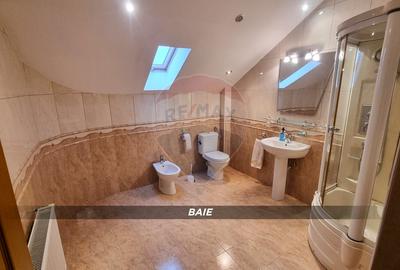 Casă / Vilă de lux cu 2 garaje, 10 camere de vânzare în BAIA MARE - 28