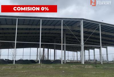 Spațiu industrial, 5500 mp în Sânandrei