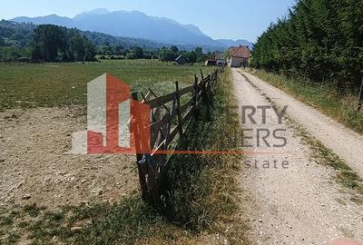 Teren intravilan 1.495 mp | Bran- Tohanul Nou | Vedere Bucegi | Deschidere 45 m - 2