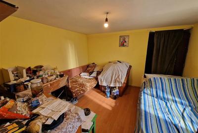 Teren mare cu 2 case in Sabolciu, com. Sacadat - 6