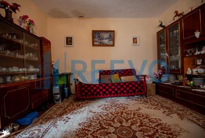Casa si teren 3365mp Sascut - 14