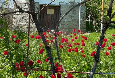 Casa demolabilă cu teren de vanzare in Breaza - 7
