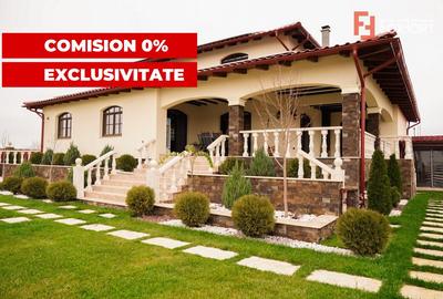 Proprietate unicata in stil clasic in Mosnita Noua - ID V7206 - 1