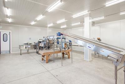 Plantatie de afine la cele mai inalte standarde, de vanzare! - 5