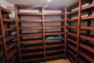 Vila lac snagov in cea mai buna portiune a lacului, ponton, garaj barca, piscina - 23