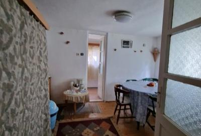 Balilesti - Stradal, casa spatioasa, 4600 mp teren intravilan - curte spatioasa - 15