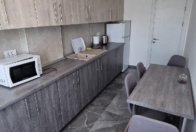 Proprietar ofer spre inchiriere garsoniera  noua - 3