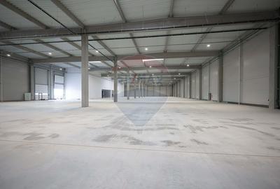 Hală de vânzare, Sc 7014mp, Zona Biharia - 9