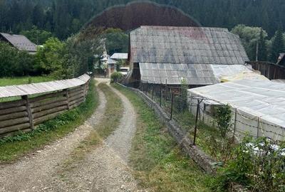 Teren 6,865mp Voroneț / Gura Humorului / Bucovina - 8