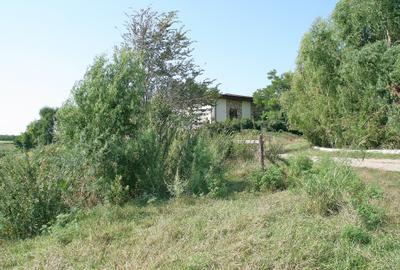 BELCIUGATELE - Complexul Valea Iazurilor, 19.720 mp. teren intravilan parcelabil - 4