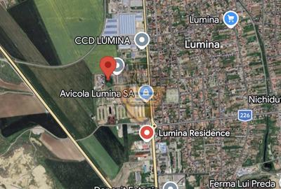 Teren Construcții intravilan de 5392 mp, în Lumina