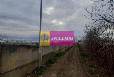 Teren 1055 MP București Sector 4 cu Certificat de Urbanism - 8