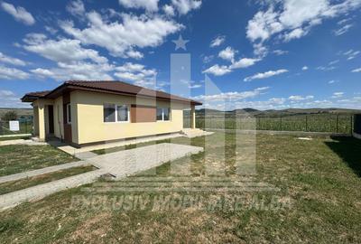 Casa individuala | 1 Nivel | 123 mp | 504 mp teren | Micesti - 8