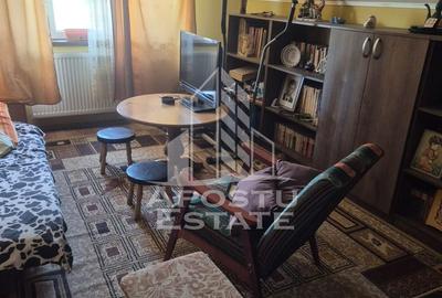 Vila D+P+1E in Lipovei … poziție foarte buna - 3