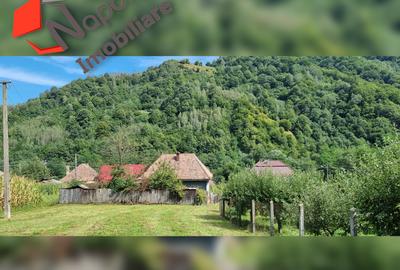 Casa deosebita in zona turistica pitoreasca Valea Ariesului - 8