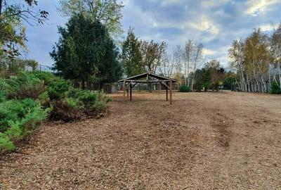 Vilă ideala Locuinta sau HOTEL-SPA sau Azil de Lux - 3