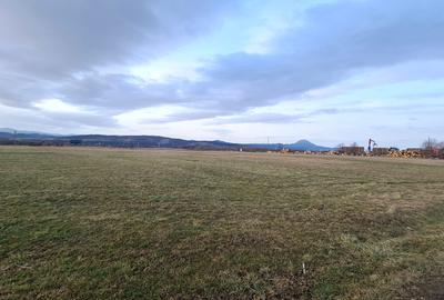 TEREN 5000  mp EXTRAVILAN LANGA SENS GIRATORIU RASNOV - PANICEL - 6