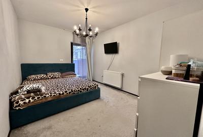 Casa individuala - Timisoara - Braytim - 7