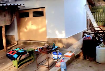 Seimenii Mari Casa 5 camere S.teren:4260 +vie+pomi fructiferi  vedere la Dunare - 16