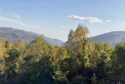 Teren retras panoramic cu panta lina, utilități si copaci mari - 7