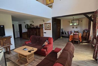 Casa spatioasa Traian - 10